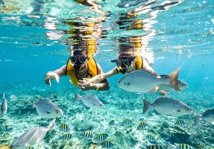 3 in 1 Snorkeling, Parasailing, with Turtle