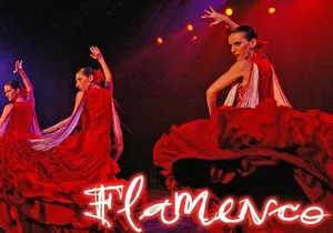 Flamenco Show at the Coliseo theater in San Miguel