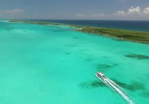 Couples Unlimited Catamaran Adventure Open Bar, Party From Cancun