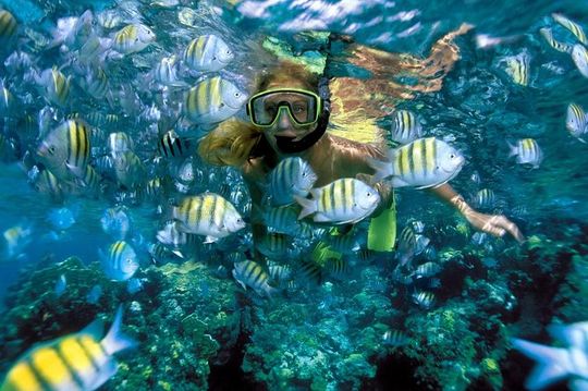 Snorkeling Adventure in Isla Mujeres