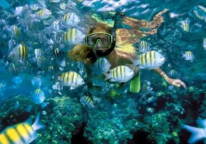 Snorkeling Adventure in Isla Mujeres