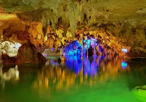 Turtles and Cenote from Cancun