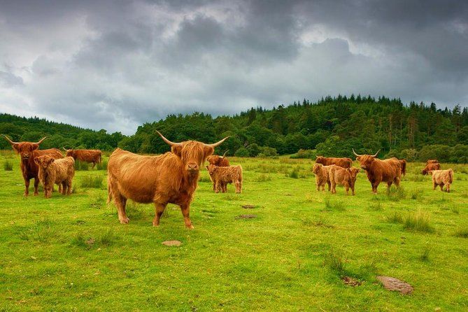 Scottish Highlands Private Day Tour from Edinburgh