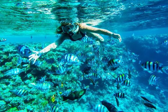 Full-Day Reef Snorkeling in Cozumel from Cancun with Lunch