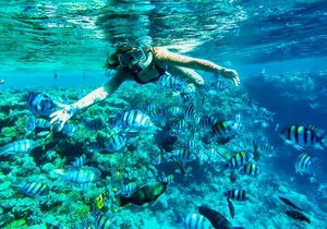 Full-Day Reef Snorkeling in Cozumel from Cancun with Lunch