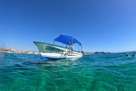 Boat Tour to Cabo San Lucas Arch and Rock Formations