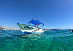 Boat Tour to Cabo San Lucas Arch and Rock Formations