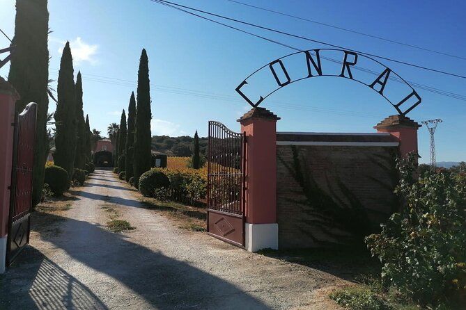 Conrad Guided Cellar Tour and wine tasting in Ronda