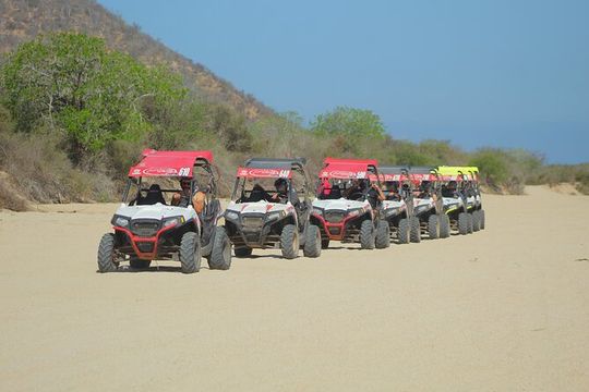 Desert and Beach UTV Adventure with Tequila Tasting