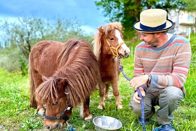 My Tuscan Farm - Wine, Pasta & Vineyard in One Day