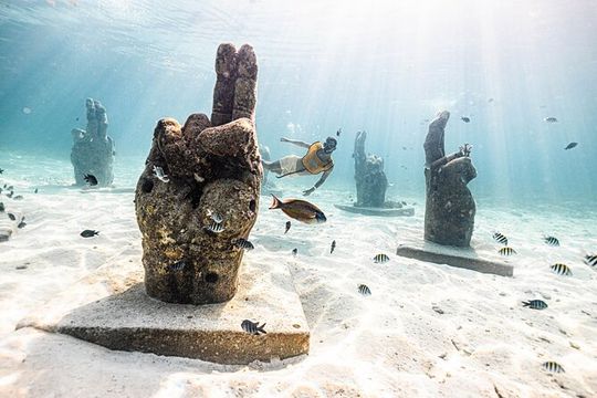 5-in-1 Cancun Snorkeling Tour with Sea Life & Transport Included