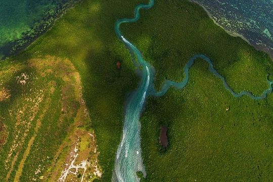 Mangrove and Lagoon Speed Boat Tour