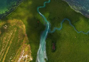 Mangrove and Lagoon Speed Boat Tour