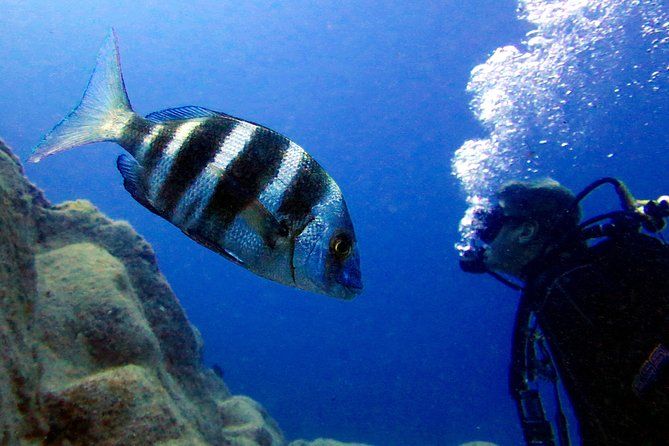 OPEN WATER CERTIFICATION - Become an autonomous diver up to 18m!