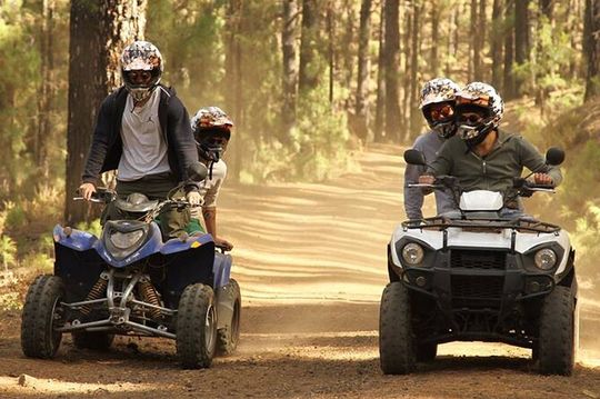 Forest Quad Trip in South Tenerife