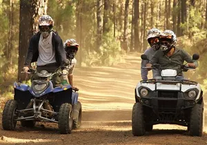 Forest Quad Trip in South Tenerife