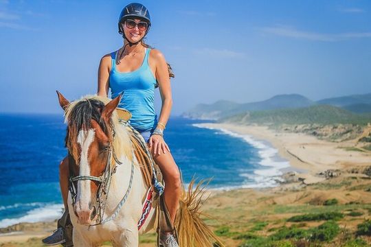 Horseback Adventures