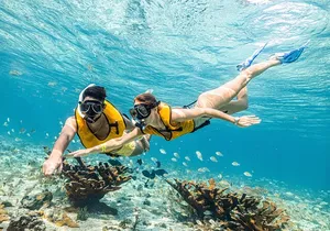 5-in-1 Cancun Snorkeling Tour with Sea Life & Transport Included