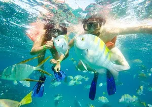 Snorkel at Pelican´s Beach Cabo San Lucas - Classic