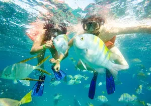 Snorkel at Pelican´s Beach Cabo San Lucas - Classic