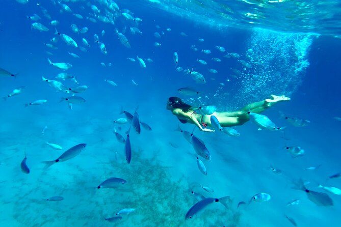 Exclusive full day boat tour