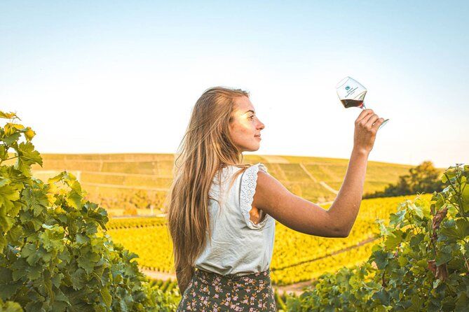 Sancerre Private Wine Day from Paris with 10 Tastings & Lunch