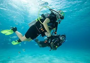 Discover Scuba Diving with two dives in the Ocean in Tenerife with Transfers