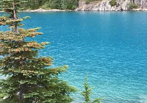 Explore Coastal Mountain Treasures: Scenic Hike from Squamish, BC