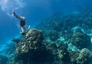 The most exciting Snorkel Tour at El Cielo reef. Discover the sky in the sea.
