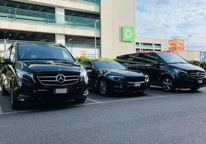 Private Transfer from Cannes Cruise Port to Nice City Hotels