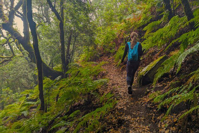 Tenerife Hiking in Enchanted Forest Above Masca with PICKUP