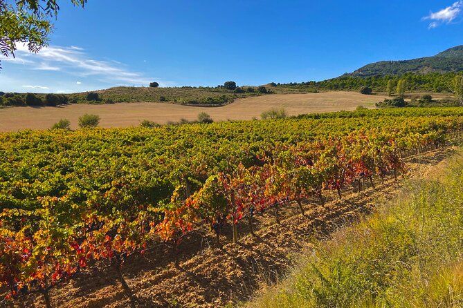 Private La Rioja Wine Tour with Tastings & Lunch – Full Day