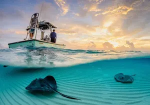 Cozumel El Cielo Tour! Palancar & Colombia Reef from Cancun
