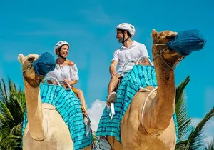 Camel Expedition and Beach Club In Riviera Maya