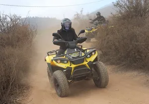 Quad Tour to the Teide National Park (3.5H)