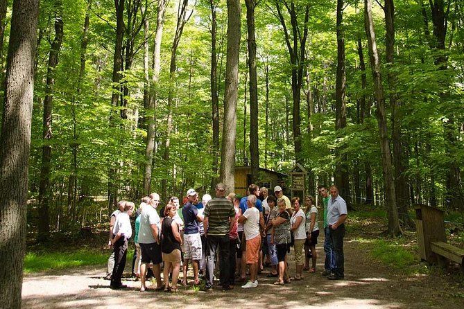 Discover Maple Sugar Bush Tour