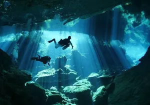 Cenotes diving from Riviera Maya