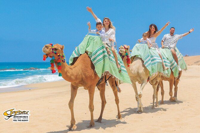 Camel Ride Tour in Los Cabos