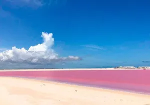 Wonderful Tour Las Coloradas & Buffete only from Cancun