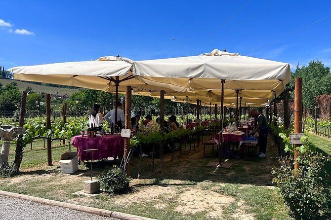 Siena and San Gimignano from Rome: Private Wine Tour in Tuscany
