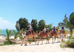 Camel Adventure on the Beach