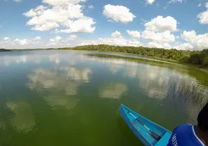Zip lining and Canoe Monkey jungle in Tulum