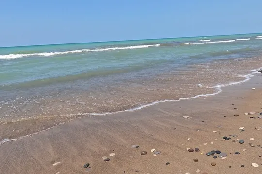 Full-Day Beach Day at Grand Bend