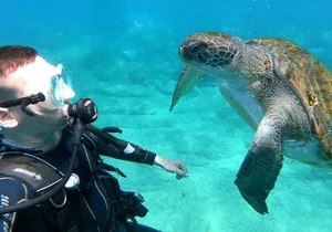Tenerife First Time Scuba Dive – Turtle Habitat, Small Groups