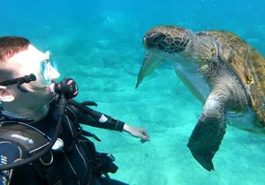 Tenerife First Time Scuba Dive – Turtle Habitat, Small Groups