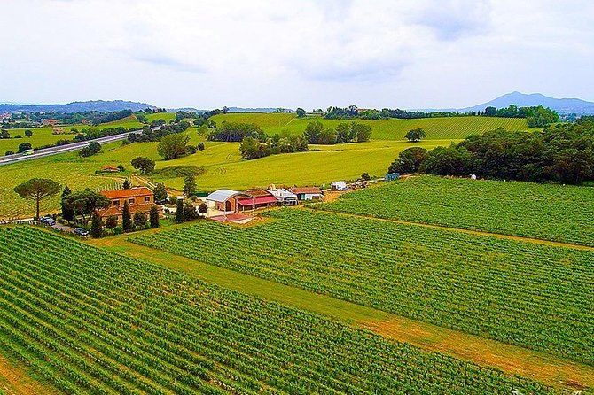 Enjoy a meal with wine tasting in the vineyard of Podere Casanova