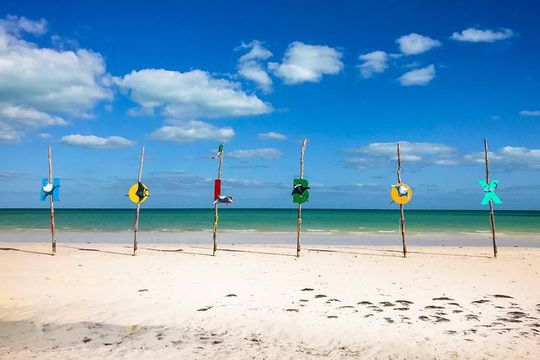 Holbox Tour of Caribbean Sea! Round Transportation from Cancun