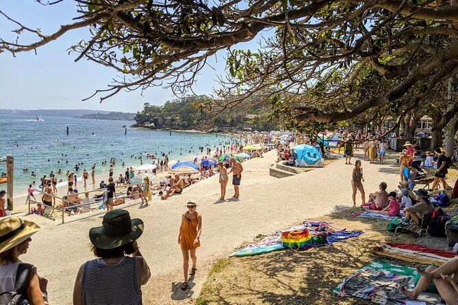 Sydney Shores and Suburbs- Watsons Bay and Bondi Beach Tour