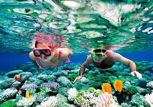 Riviera Maya Snorkeling
