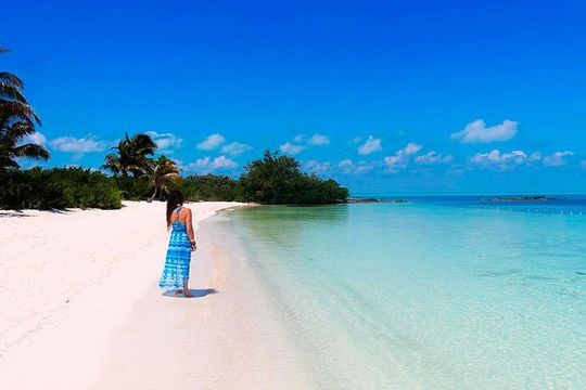 Island Contoy Adventour & Buffete & Isla Mujeres only from Cancun